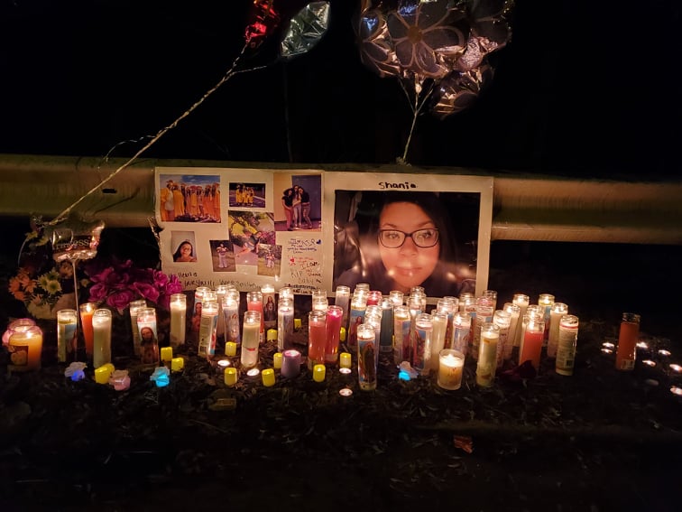 Shania Waite killed in car crash, Troy police say - Vimarsana News