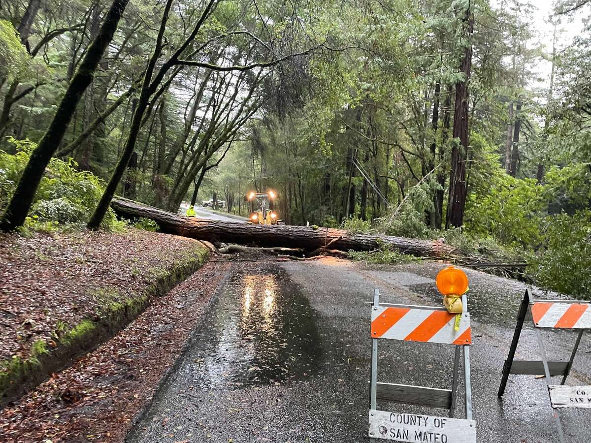 A downed tree on Pescadero Creek Road at Memorial County Park in San Mateo County on Monday, Dec. 13, 2021. 