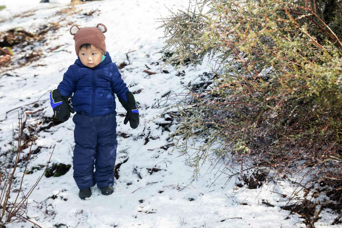 Henry Lo, 2, experiences snow for the very first time near the summit of Mount Diablo in Walnut Creek, Calif. Tuesday, Dec. 14, 2021.