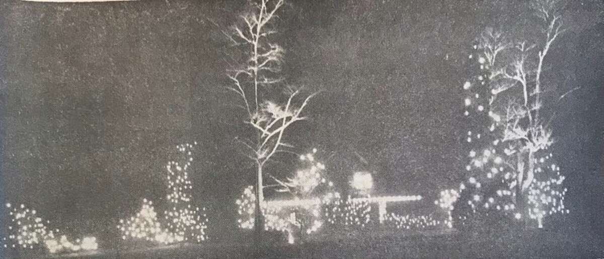 The Christmas display at Dow Memorial Gardens. December 1965
