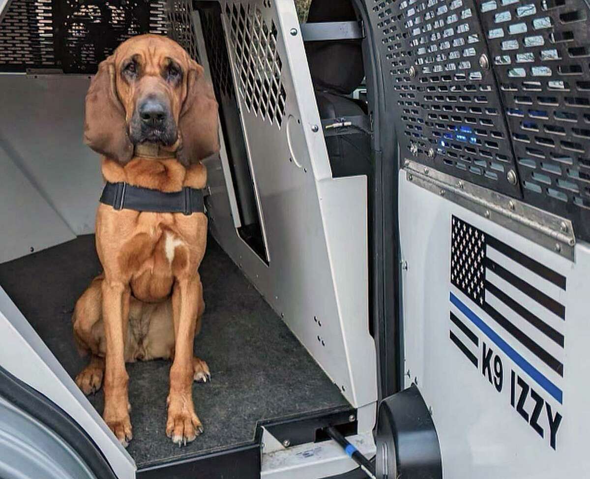 Connecticut State Police K-9 Izzy tracked a missing Woodbury, Conn., girl for over a mile and a half on Sunday, Dec. 12, 2021.