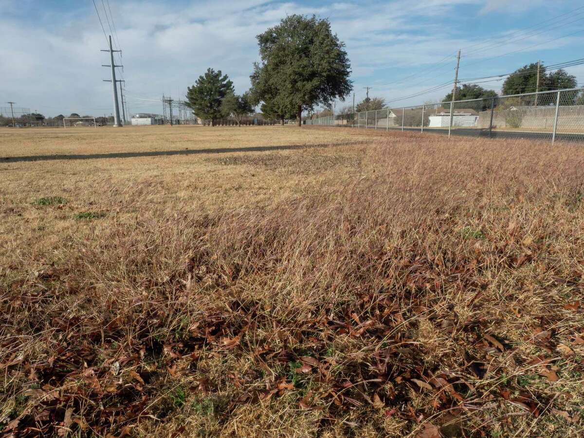 Tall grass and weeds are seen 12/15/2021 at Lancaster Park practice fields. Tim Fischer/Reporter-Telegram
