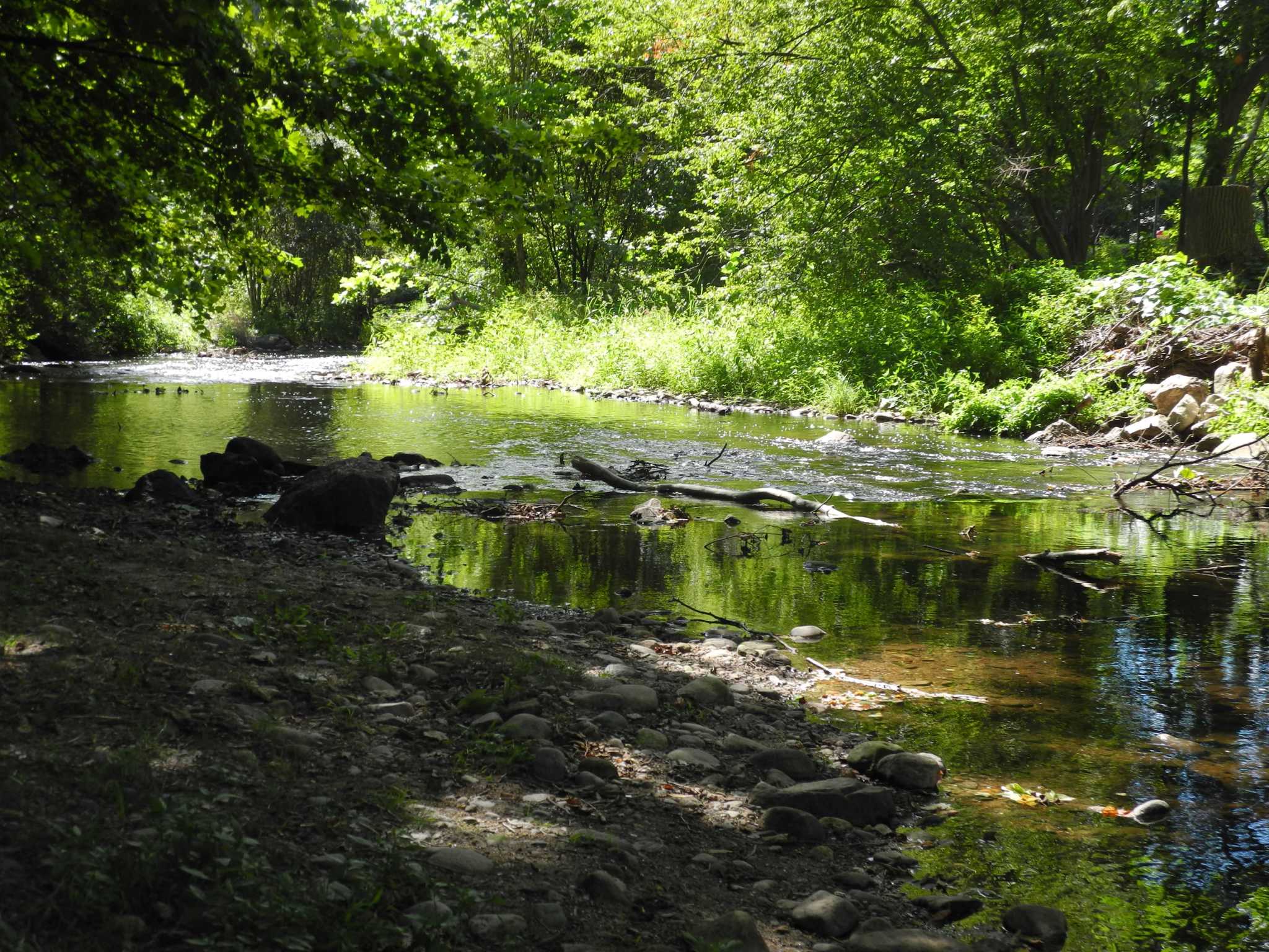 Four CT municipalities accused of violating Clean Water Act in lawsuits filed by Save the Sound - Vimarsana News