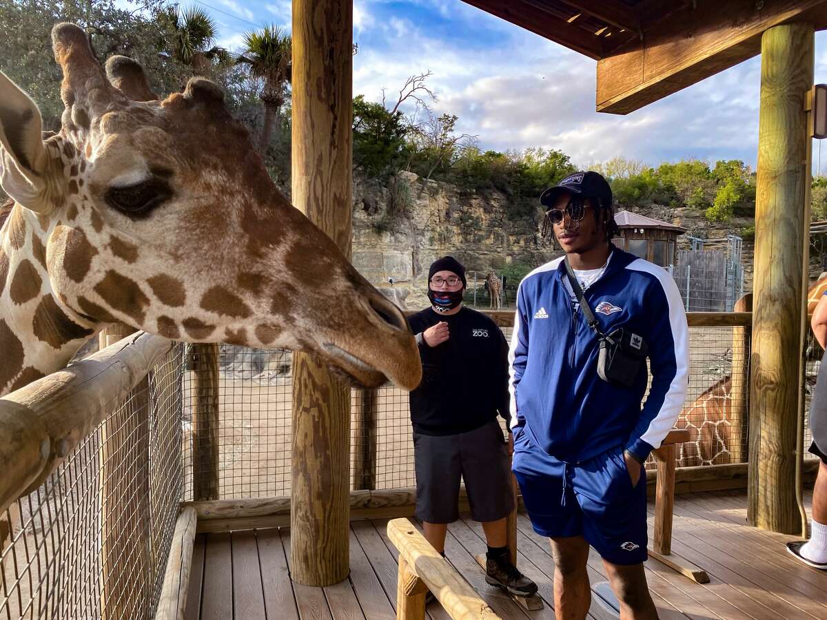 The UTSA football team visited the San Antonio Zoo on Wednesday, December 15. 