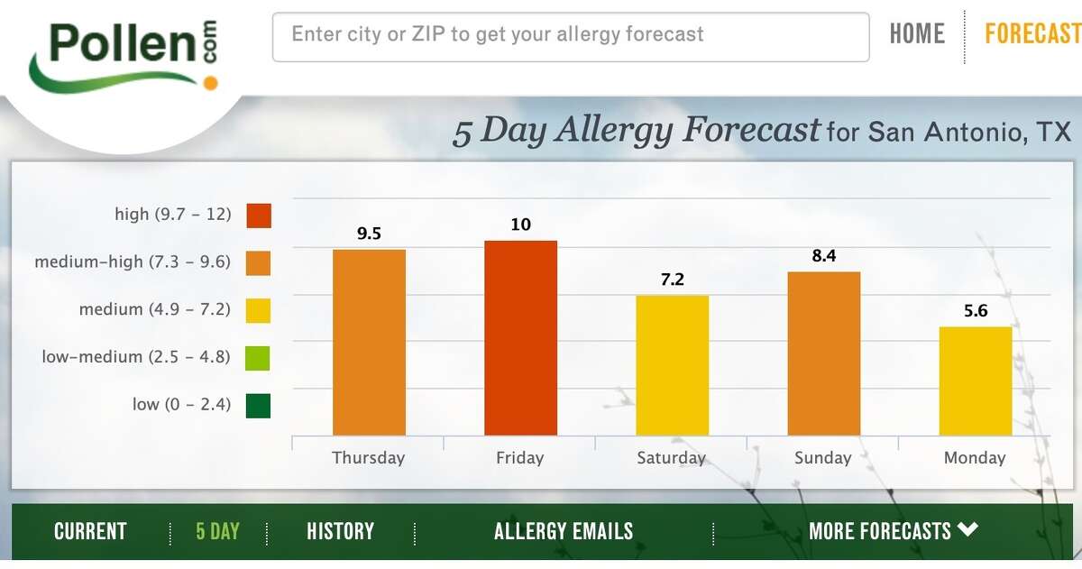 Cedar and other Juniper trees are creating high pollen counts for San Antonio. 