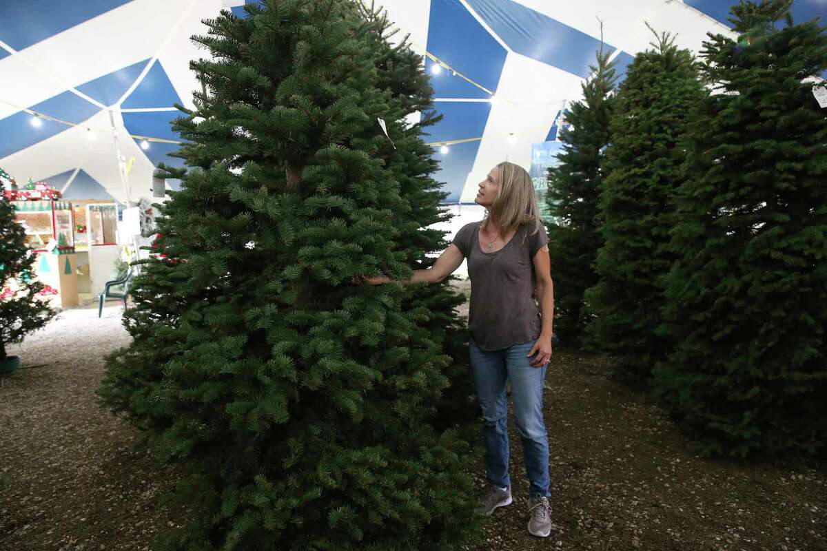 Maureen White, of Helotes, shops for a tree at Holiday Hills Christmas Trees on Bandera Road on Wednesday, Dec. 15, 2021. She has been frustrated this holiday season by the smaller selection and higher prices.