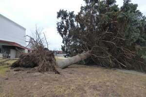 Wind causes damage in Manistee County
