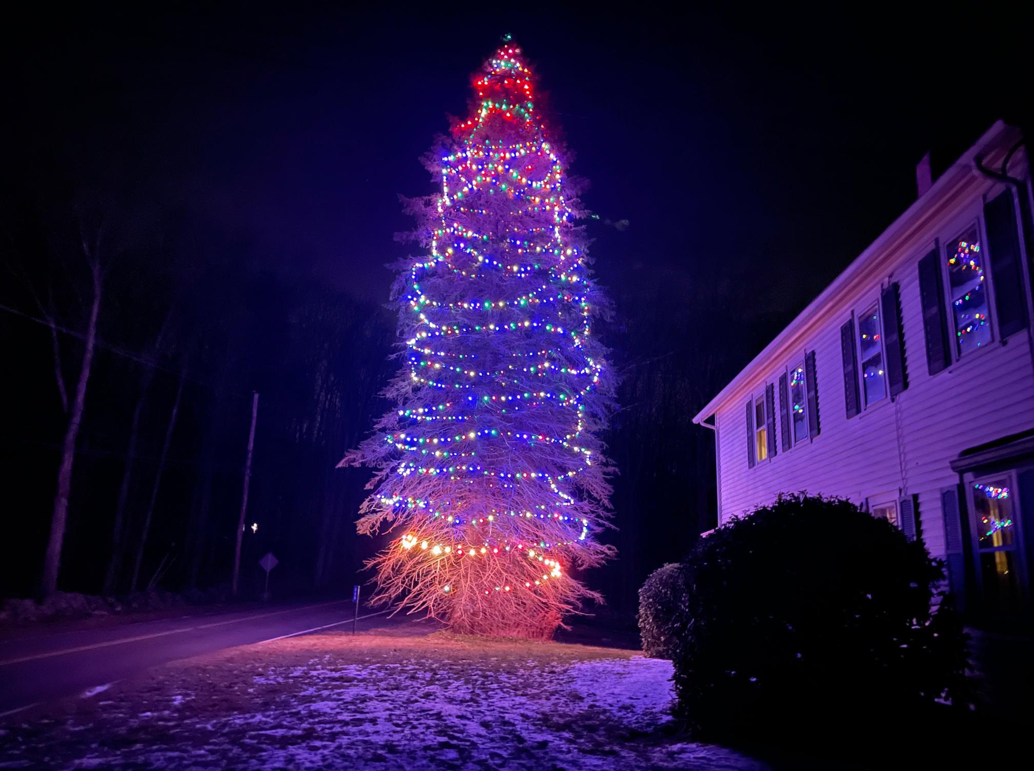 In Winchester, Patrick Shelley's tree is lit for the holidays - Vimarsana News