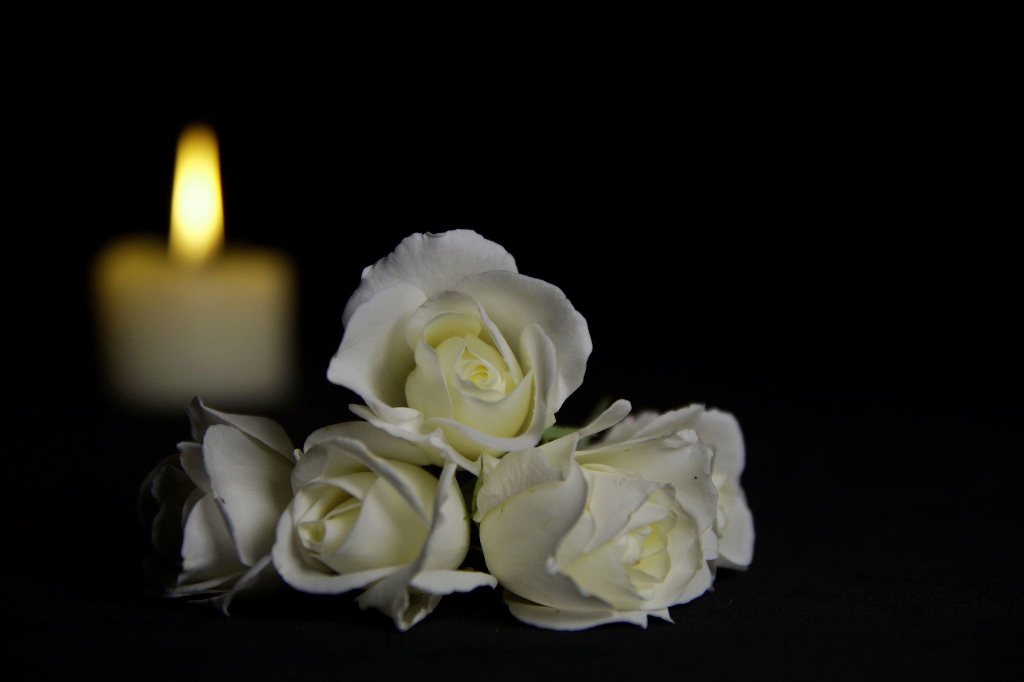 'A plus-sized Jewish lady redneck': Hilarious Texas obituary goes viral - Vimarsana News