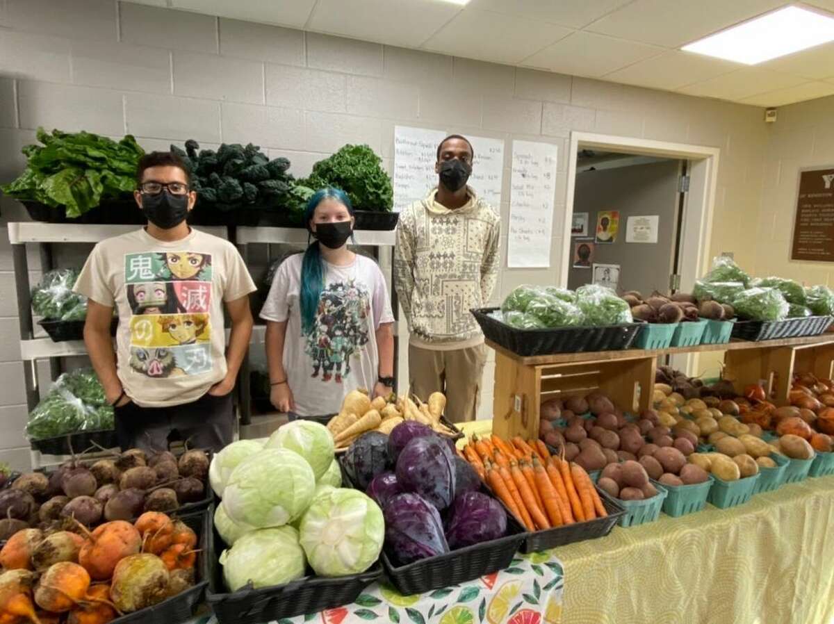 The Kingston YMCA Farm Project provides farm-based education and empowers teens by hiring them to work the farm and sell produce. Here, Alexander Rios, Julie Miller and Philip Hanson (l-r) work the winter farmers market.
