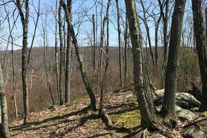 The Conservation Commission is looking to convert a large parcel land in the Pine Mountain area into open space. The roughly 58-acre property is owned by the Boy Scouts of America’s Connecticut Yankee Council and is located at the Ridgefield-Danbury border.