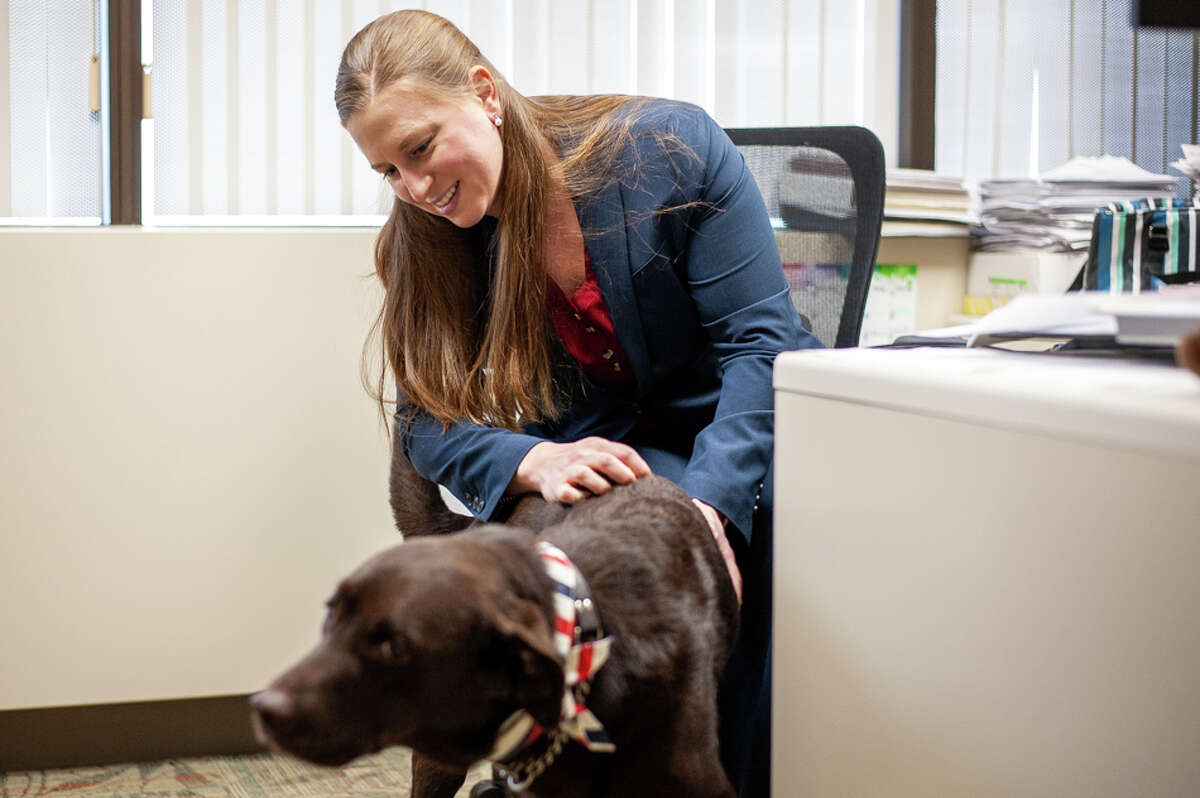 Midland Assistant Prosecutor Atea Duso pets Joey, a chocolate lab, in the Midland County Prosecutor's Office on Dec. 3, 2021. He is part of the Michigan Canine Advocacy Program, and Duso is his caretaker.