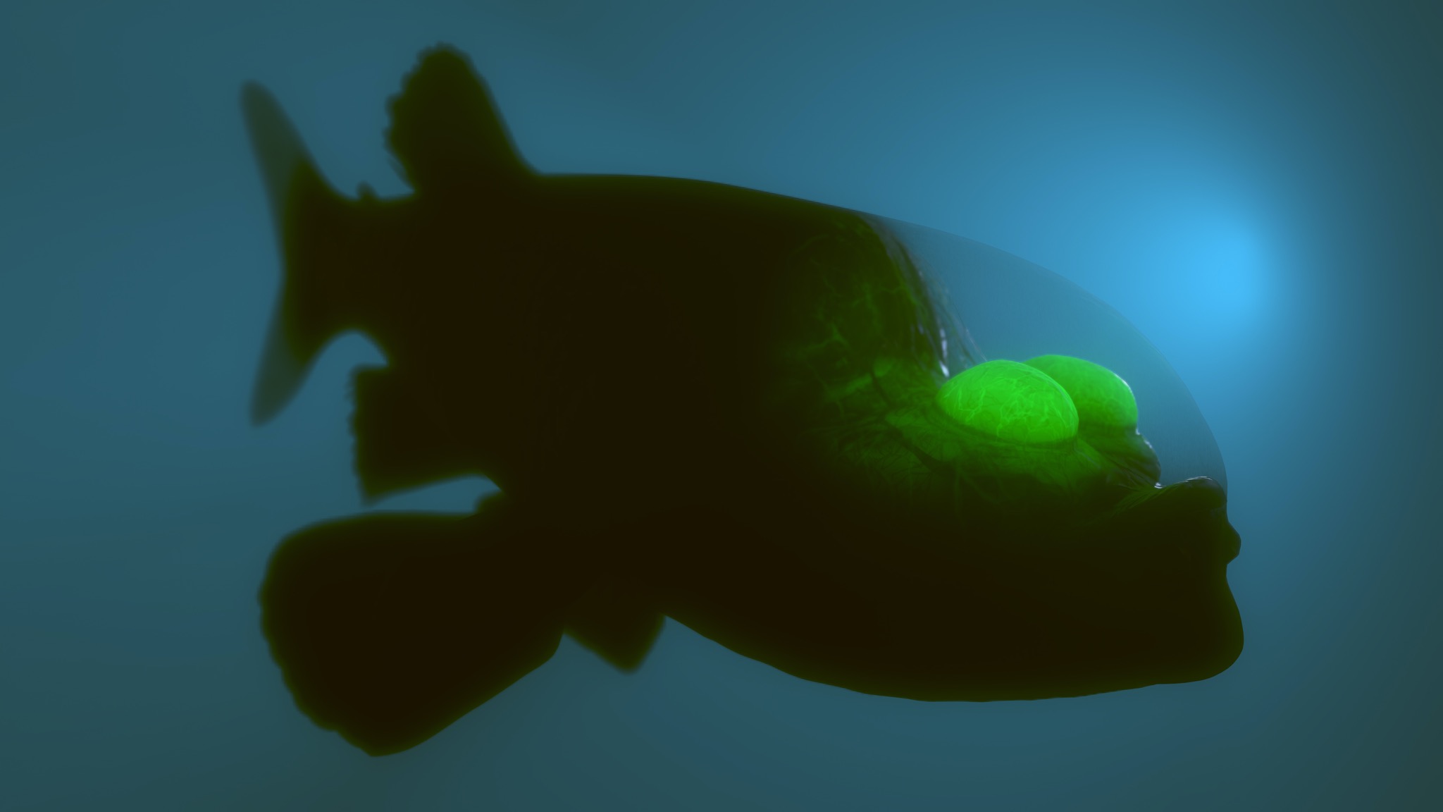 Monterey Bay researchers spot rare, bizarre deep-sea fish