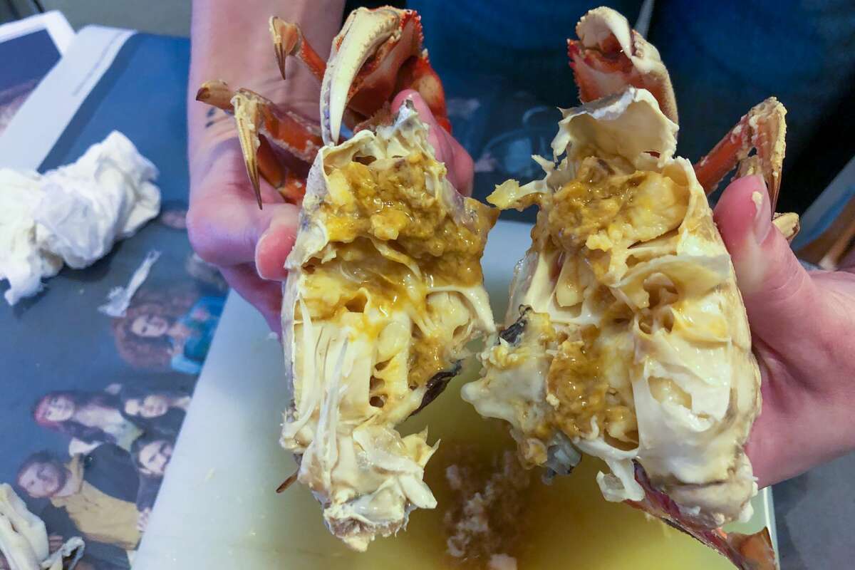 An exvegetarian in San Francisco kills and eats her first Dungeness crab