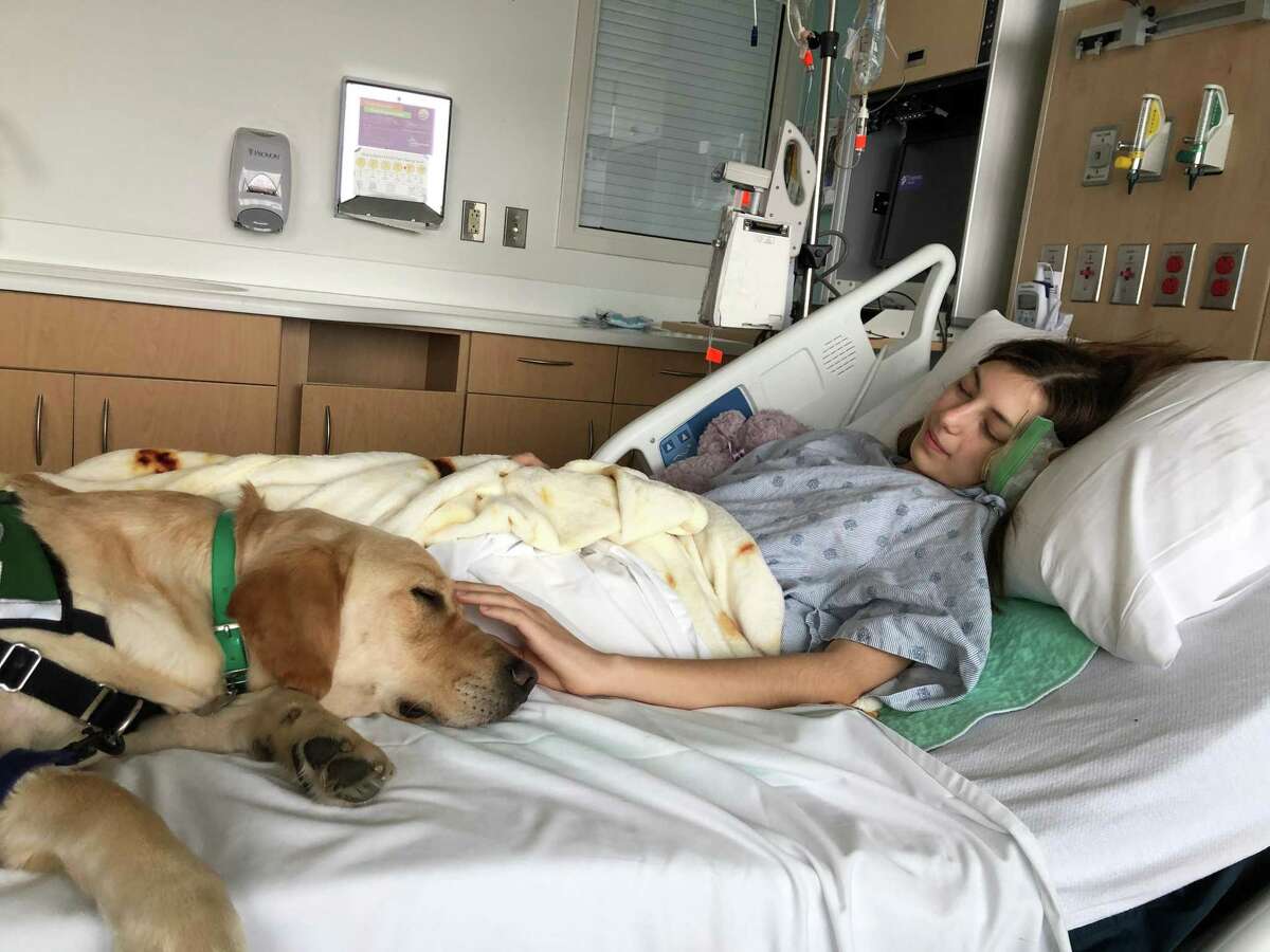 During cancer treatment, Juliana struggled with nausea and stress. When she’d receive chemo, Marcus the golden retriever would nap with her.