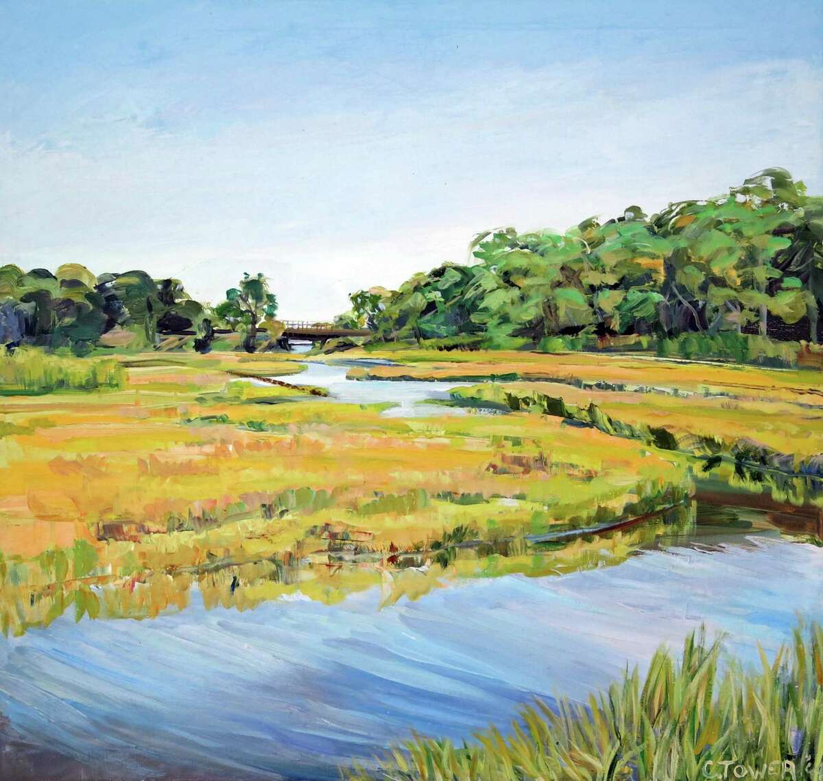 ‘A pretty rare property’ Branford Land Trust seeks to buy section of