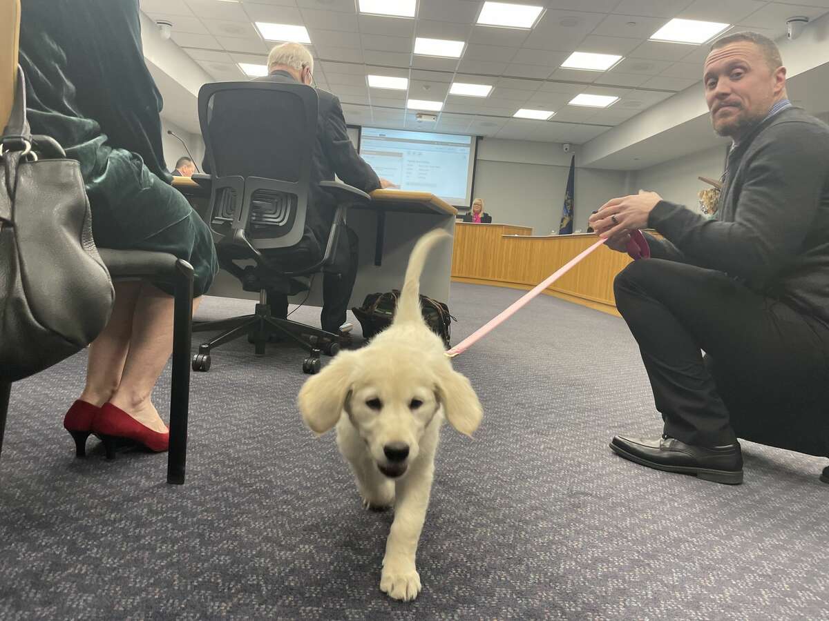 Ryan Griffus with the Midland County Juvenile Care Center and "Monarch Marley," the newest canine at the center, attended a board meeting on Tuesday, Dec. 21, 2021 at the County Services Building. 