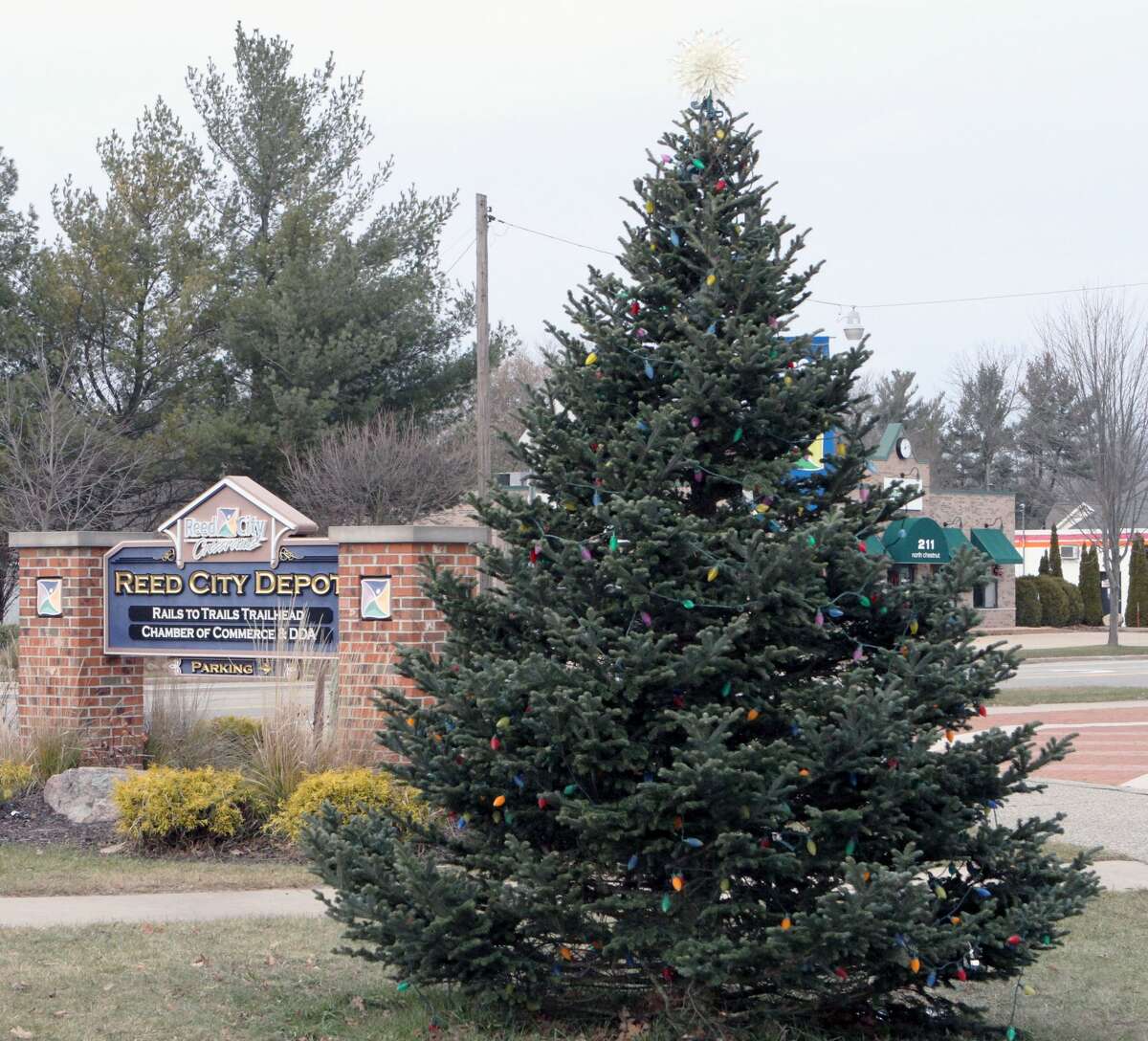 A Christmas tree rests on gloomy Tuesday afternoon outside of the Reed City Chamber of Commerce building.