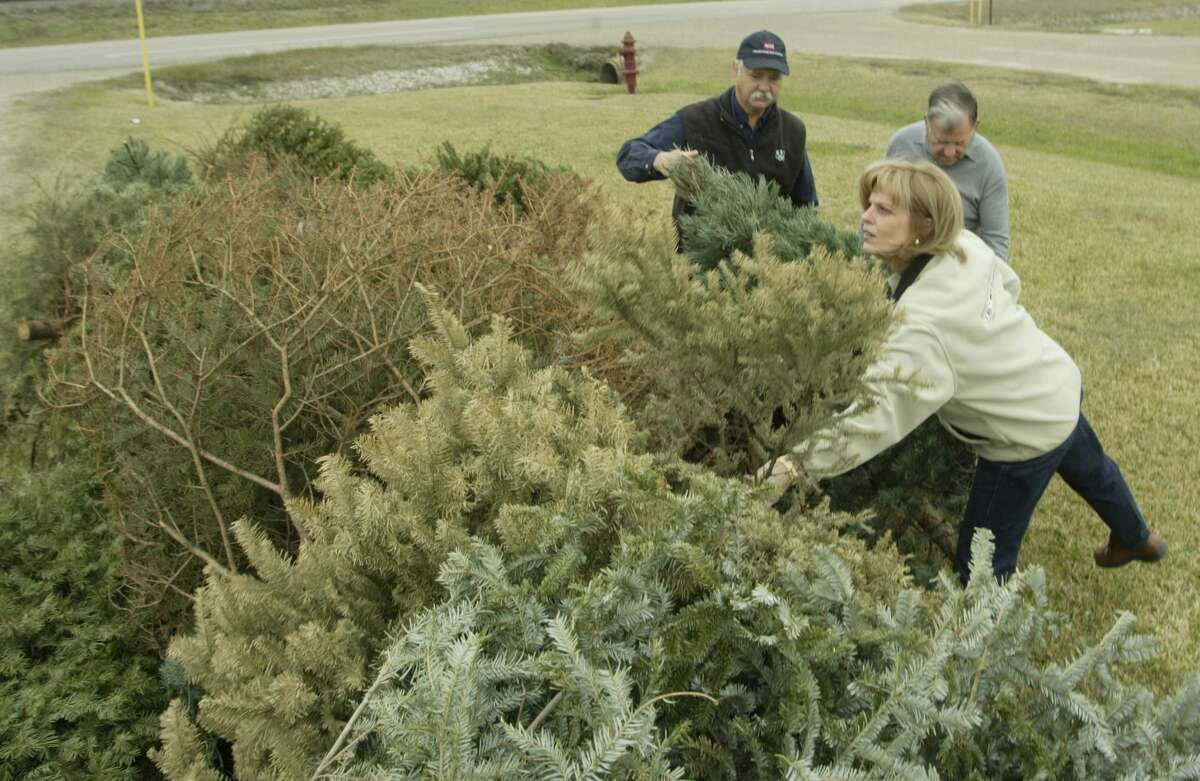 The annual Dunes Day Project in Brazoria County uses discarded Christmas trees to stop erosion on beaches. Trees can be dropped off at the Stella Roberts Recycling Center, 5800 Magnolia Parkway, Pearland, Monday through Sunday, no appointment needed. Trees with flocking cannot be recycled, and tinsel must be removed. Dumping outside the gate when the center is closed can result in a fine of up to $200.