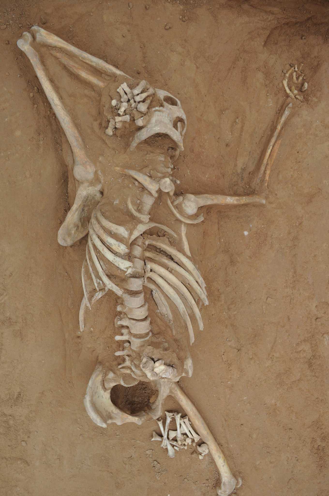 'One of a kind discovery': Texas A&M professor finds 1,300-year-old murder in ancient Chinese tomb - Vimarsana News