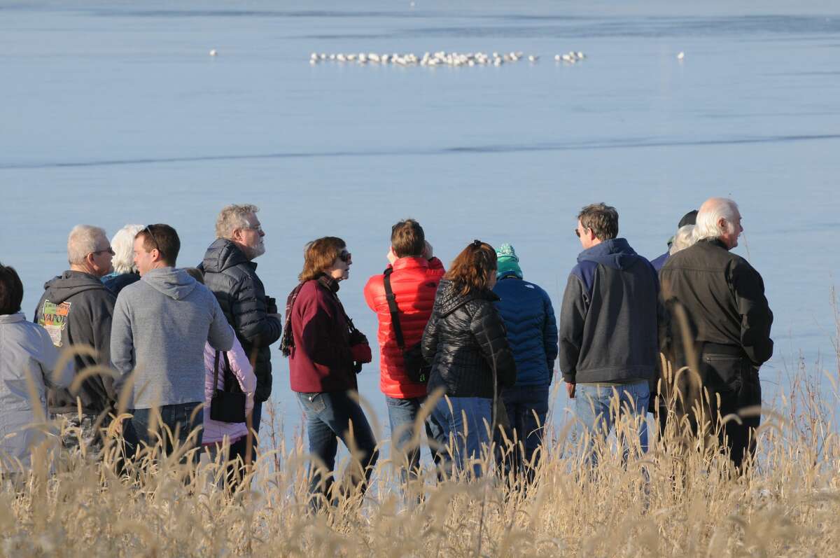 Winter Birds program participants look at waterfowl in the distance on Saturday at the Riverlands in West Alton. Bald Eagle Days will be at the Pere Marquette Lodge visitor center in Grafton from 8:30 a.m.-4 p.m. Tuesday, Dec. 28.