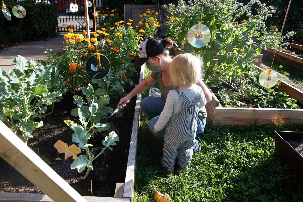 Resolve this year to boost your family’s nutrition by growing more vegetables.