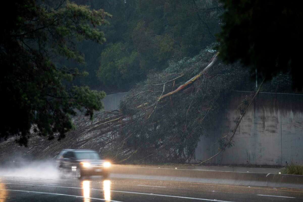 A large eucalyptus tree blocks the northbound lanes of Highway 13 just past Redwood Road in Oakland, Calif. as heavy rain falls across the region.