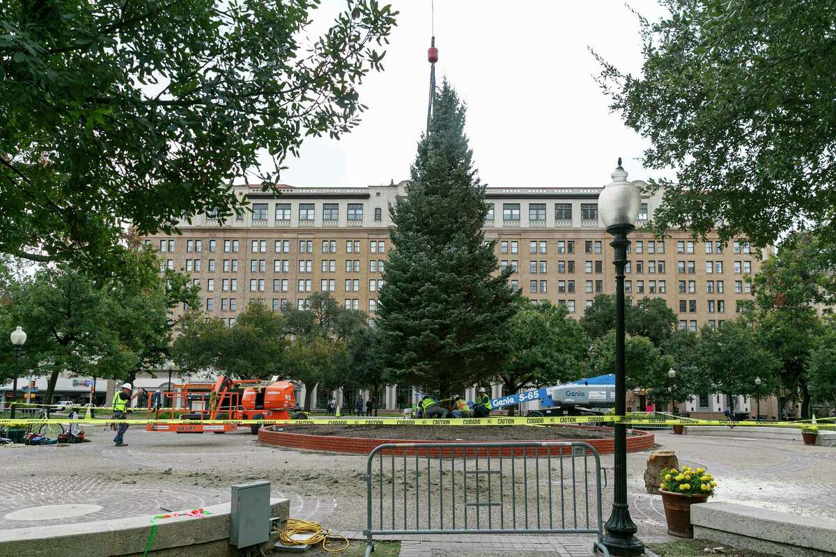 This year’s H-E-B Christmas Tree as it arrived in Travis Park. Now, think big and imagine it at Hemisfair.