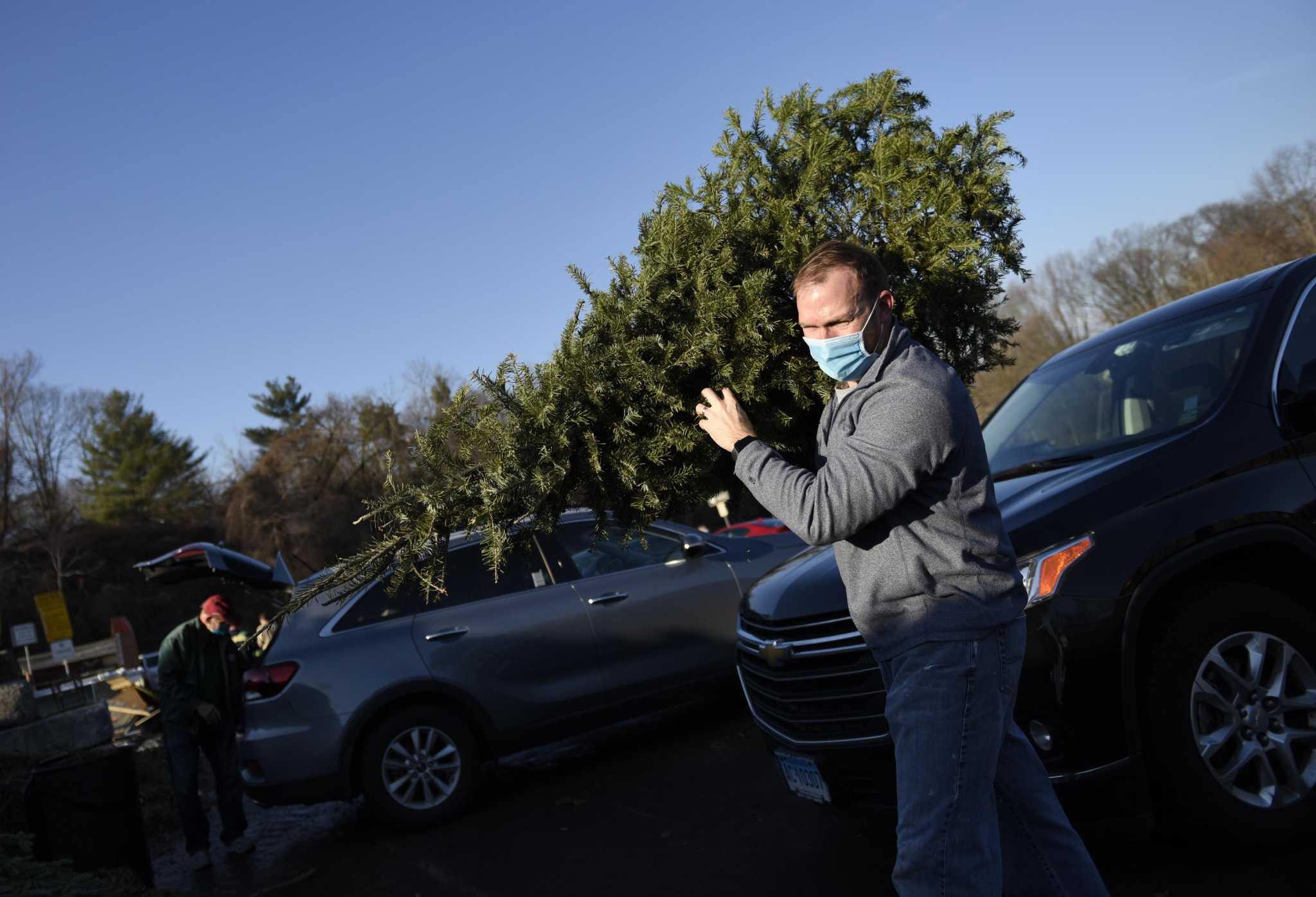 Ready to recycle your Christmas tree? Greenwich offers four locations