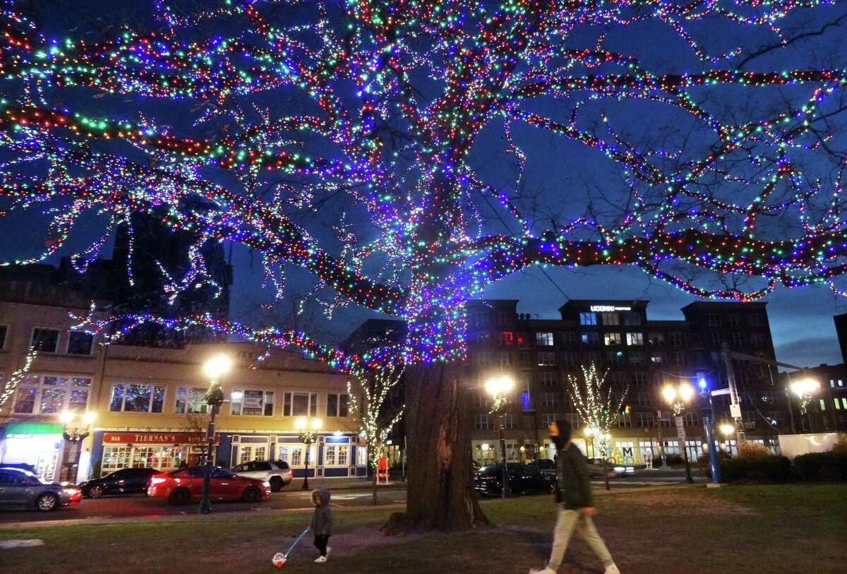 Holiday lights cover every branch a large tree in Columbus Park in downtown Stamford, Conn., on Thursday December 23, 2021.
