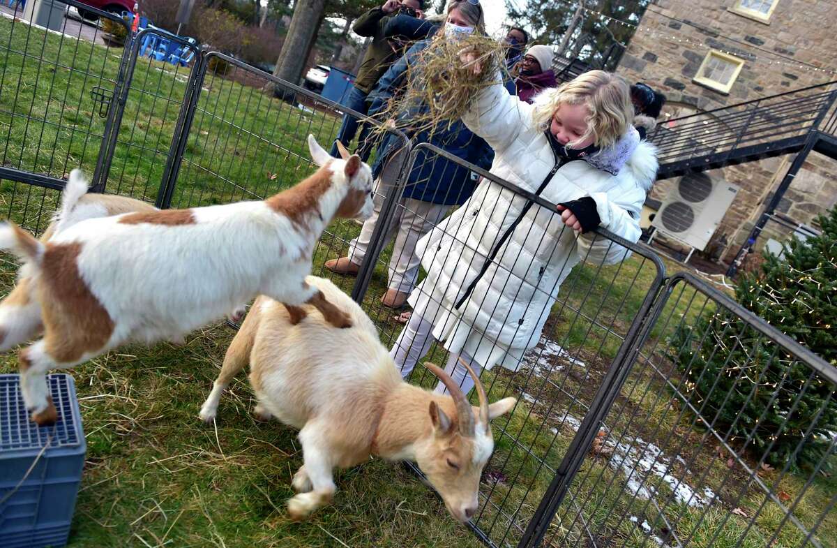 J.T. Sanderson, 8, feeds baby goats during Second Congregational Church's Outdoor Christmas Pageant and Petting Zoo in Greenwich, Conn., on Friday December 24, 2021. "The hope and joy of Christmas lift our spirits in any year," says Senior Minister Maxwell Grant. "We wanted to make sure we offered a safe way for friends to gather, and for kids to keep teaching us the story."