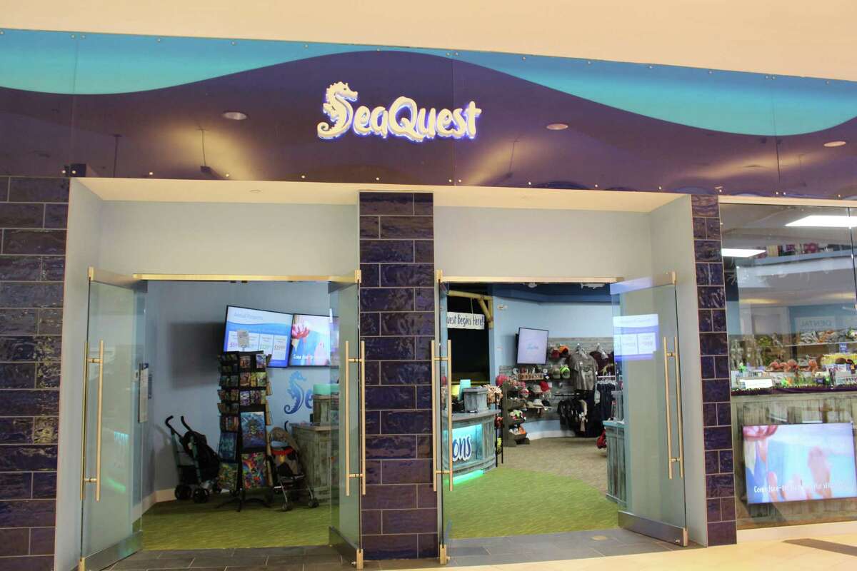 SeaQuest Interactive Aquarium is open in the Westfield Trumbull mall
