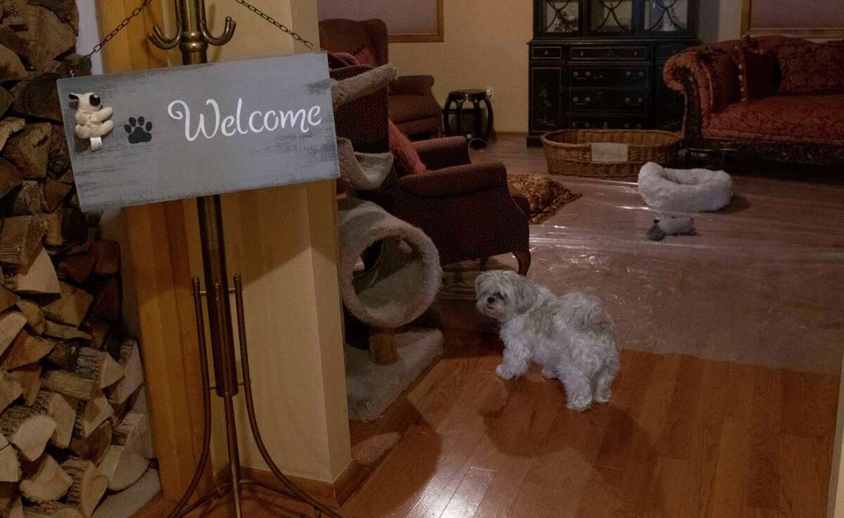 Meet the woman who runs a Saratoga County pet hospice