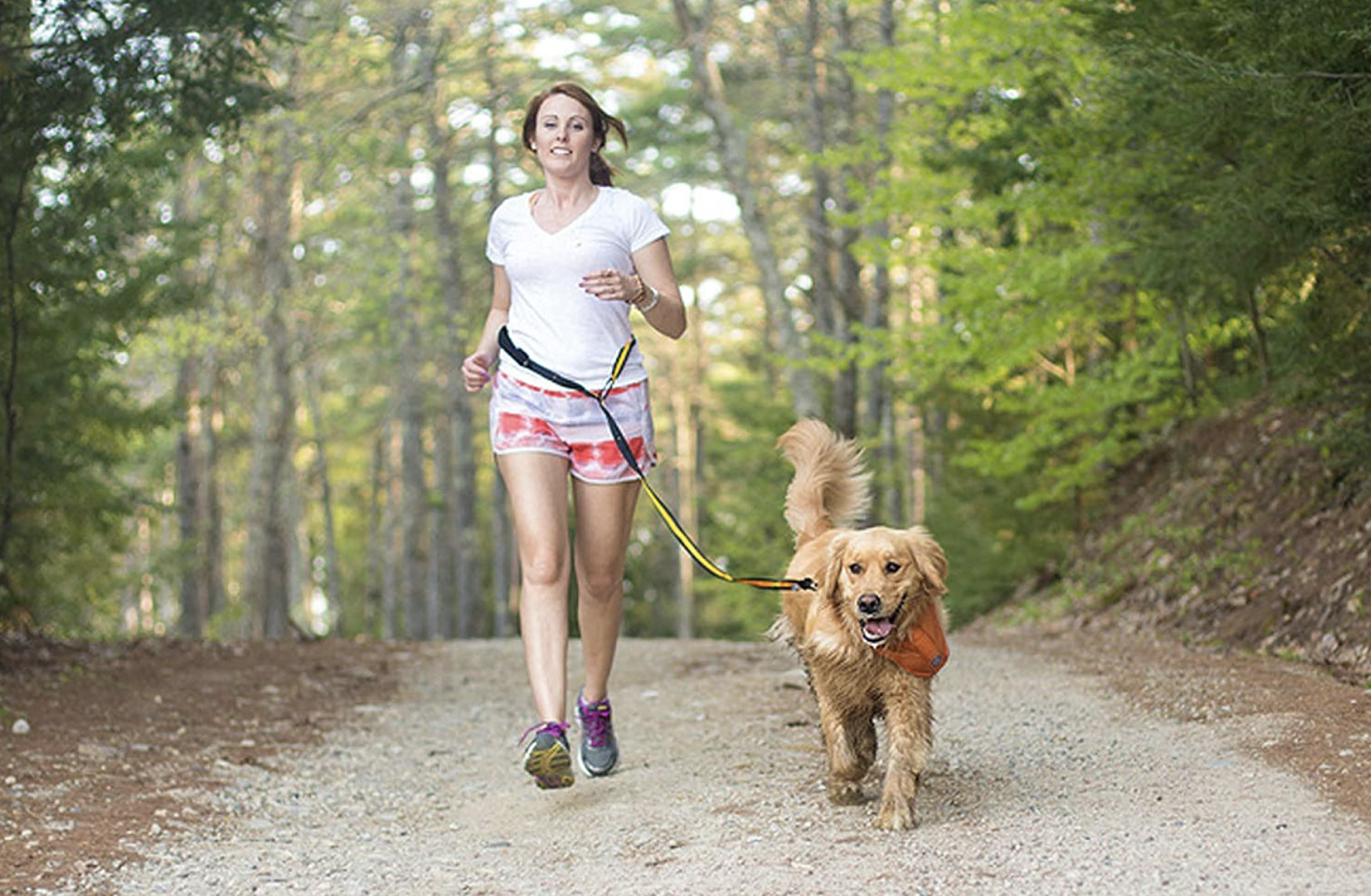 The best dog leashes for running - Vimarsana News