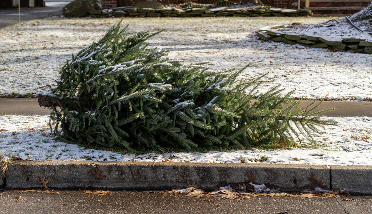 Jacksonville Street Department workers will be picking up Christmas trees for disposal next week. 