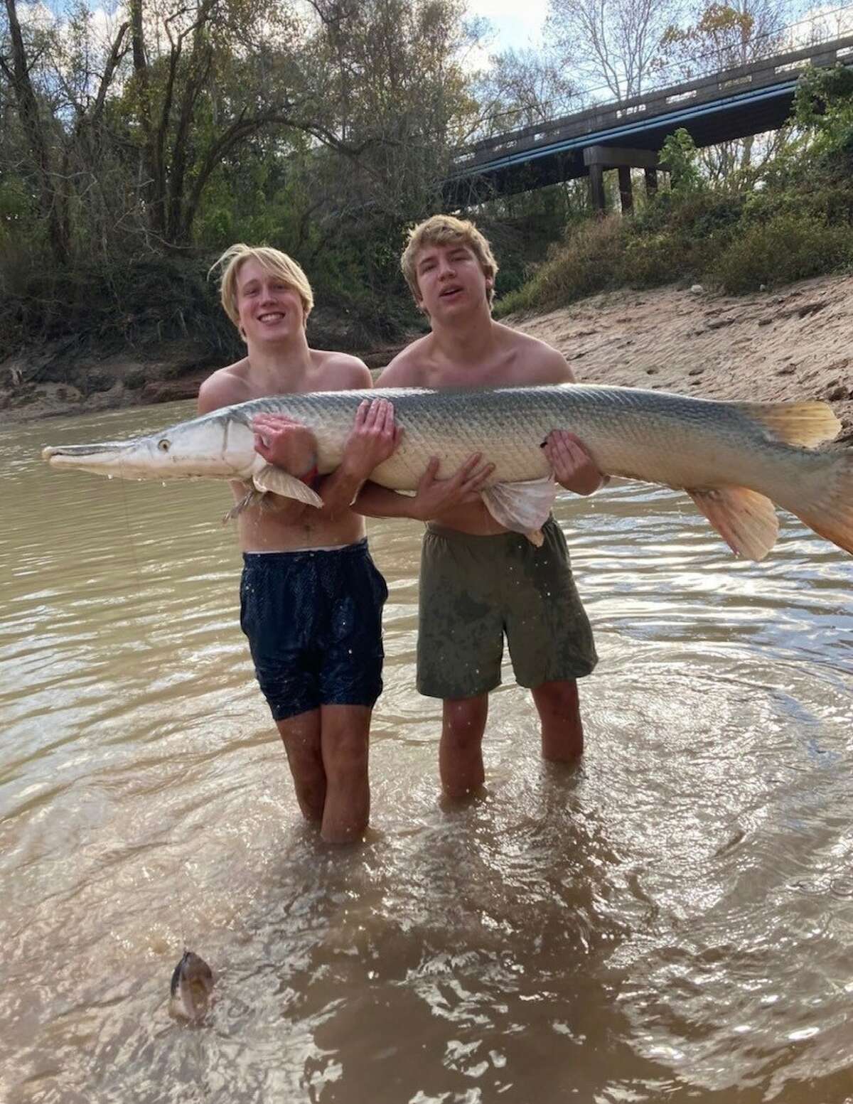 Evan Adams (left) and Charlie Oliver show off the nearly seven-foot alligator gar they caught in Buffalo Bayou on Sunday, Dec. 26, 2021.