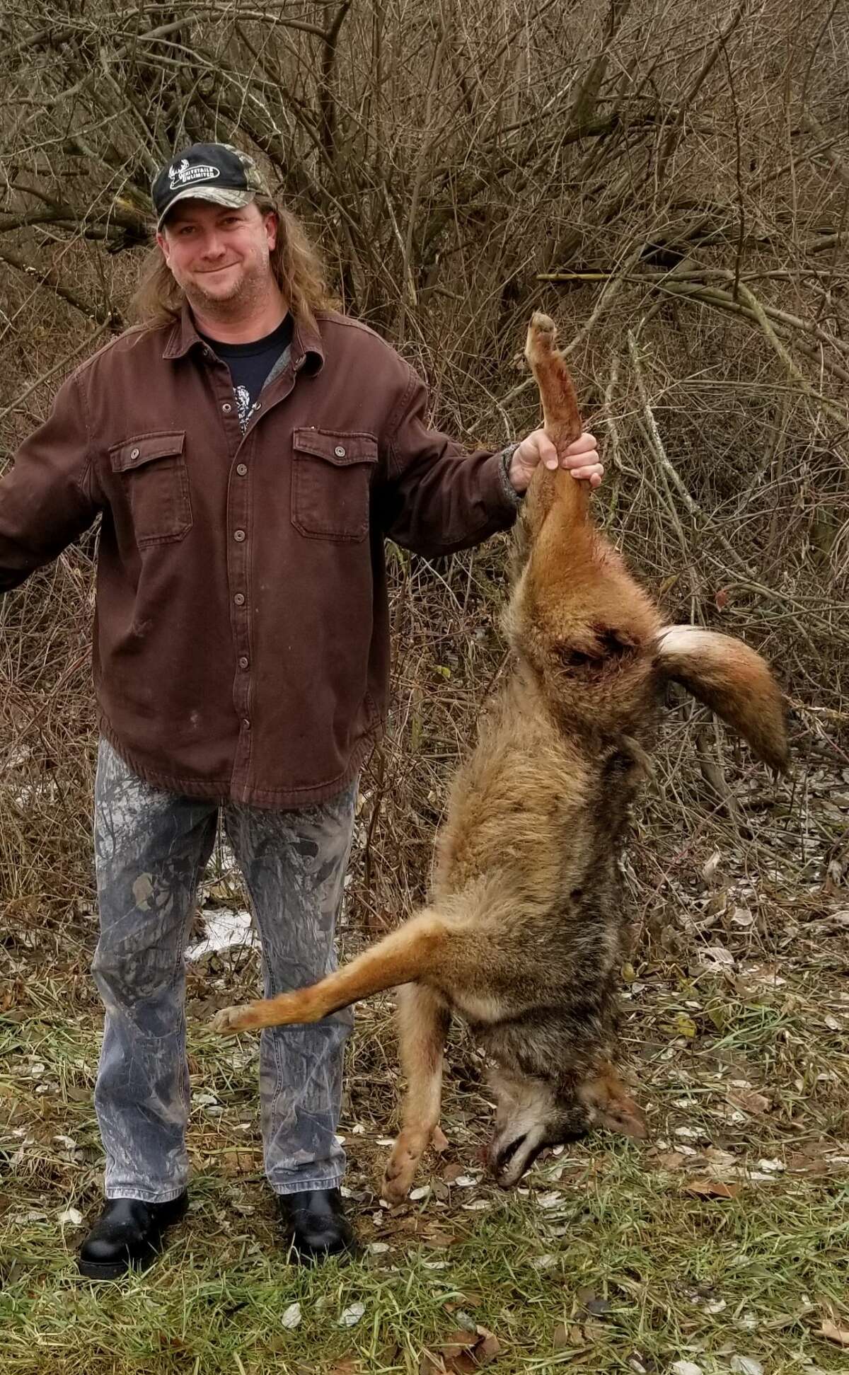 Avid predator hunter Don Burnette, of Cass City, was tracking a pair of Thumb coyotes in an effort to push them to his son Zack, who was waiting down a fencerow, when Don jumped this large male coyote at 15 yards and shot it at 75 yards using a .204 Ruger rifle.