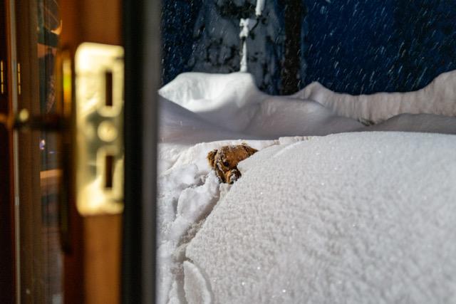 These photos show Tahoe homes buried by recent snow storms - Vimarsana News