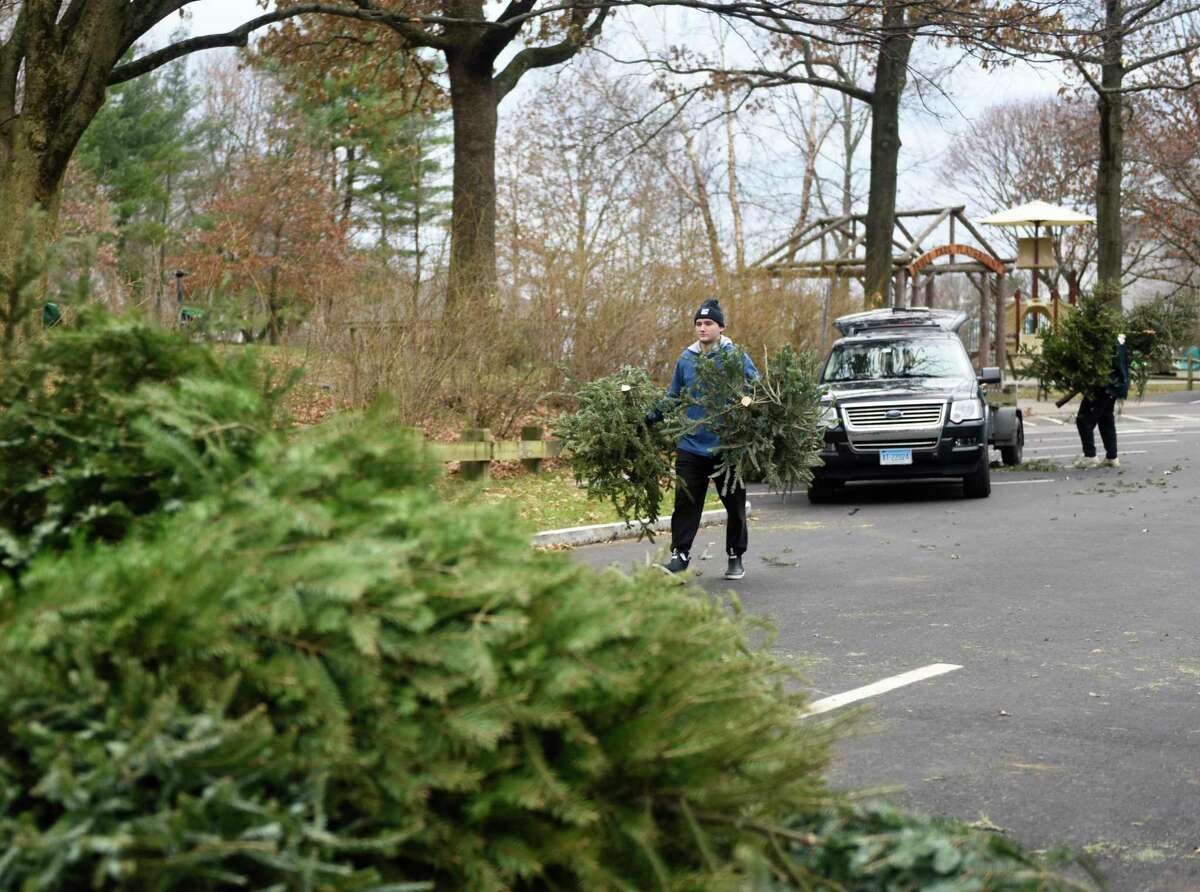 Cos Cob's Charlie Graves, left, and Riverside's Nick Martinelli dispose of Christmas trees at the Bruce Park Playground in Greenwich, Conn. Monday, Dec. 27, 2021. The Town of Greenwich has locations for residents to dispose of their Christmas trees and wreaths at Greenwich Point Park, Holly Hill Recycling Center. Byram Park, and Bruce Park.