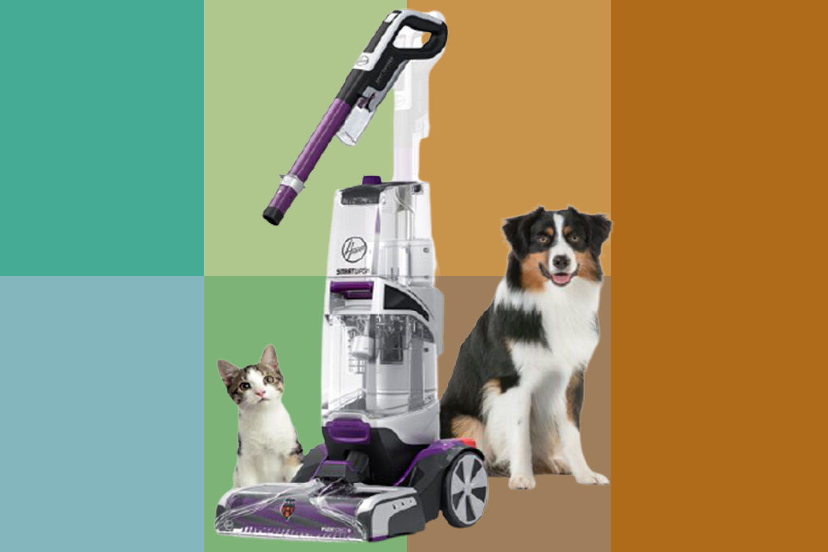 The Bissell TurboClean Carpet Cleaner is for sale on Amazon