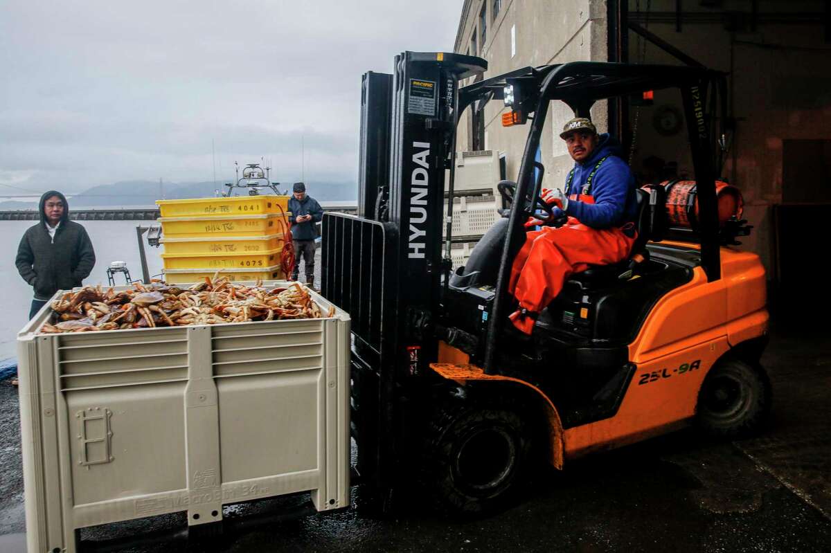 Pezzolo employee Jorge Bonilla transports a large tote of Dungeness crabs to be weighed near family-owned wholesale seafood company, Pezzolo Seafood, at Pier 45 in San Francisco, Calif. on Wednesday, Dec. 29, 2021. After a delayed start to harvesting season, the first hauls of Dungeness crab arrive at the city’s docks.