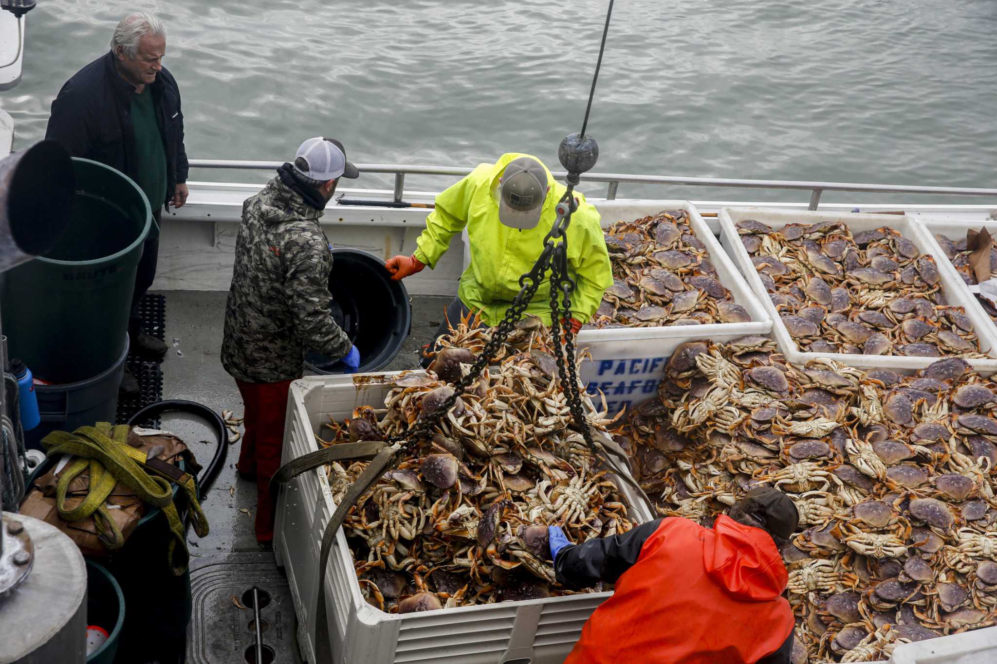 Bay Area Dungeness crab fishing season delayed again