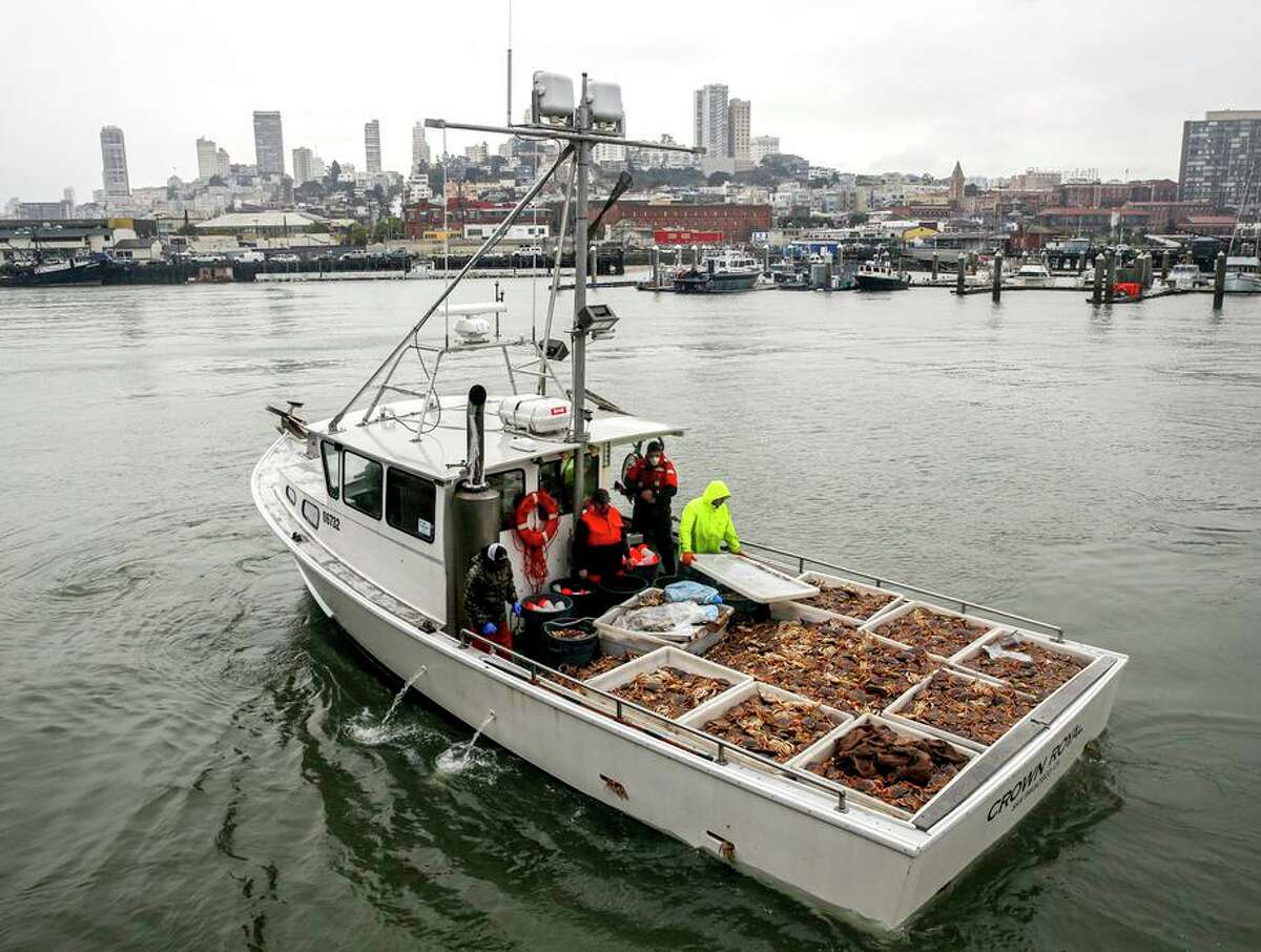 A fishing boat nears Pier 45 in San Francisco in December. Marine heat waves have led to the close of Dungeness crab seasons in Northern California.