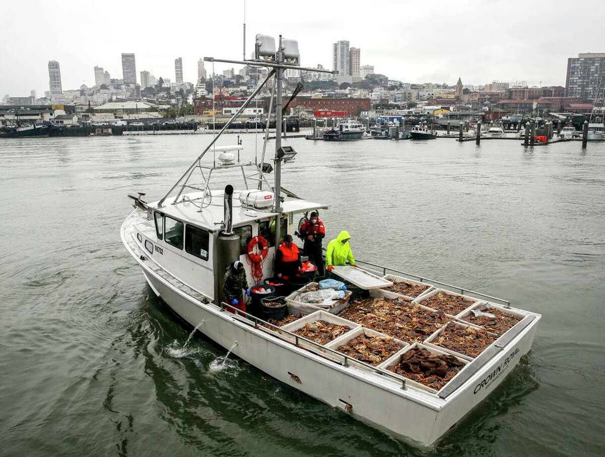 dungeness-crabs-arrive-in-san-francisco-after-delayed-start-to-fishing