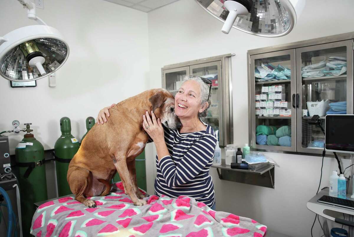 Tracey Kolb nuzzles with her dog Bella during a portrait session Tuesday, Dec. 14, 2021, at Foster Creek Veterinary in Richmond. Bella had a tumor, which was treated by Dr. Megan Dunn. Bella received an injection of stelfonta, which caused her tumor to slough off, removing the tumor and leaving a small scar.
