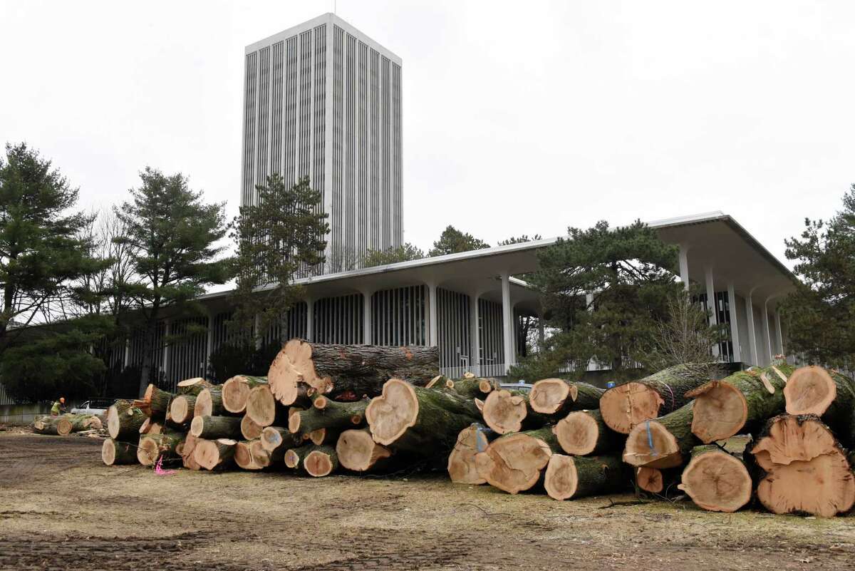 Trees on the University of Albany campus have been removed for construction of a new Bus Rapid Transit on Thursday, Dec. 30, 2021, in Albany, N.Y. Over 100 trees are being removed.