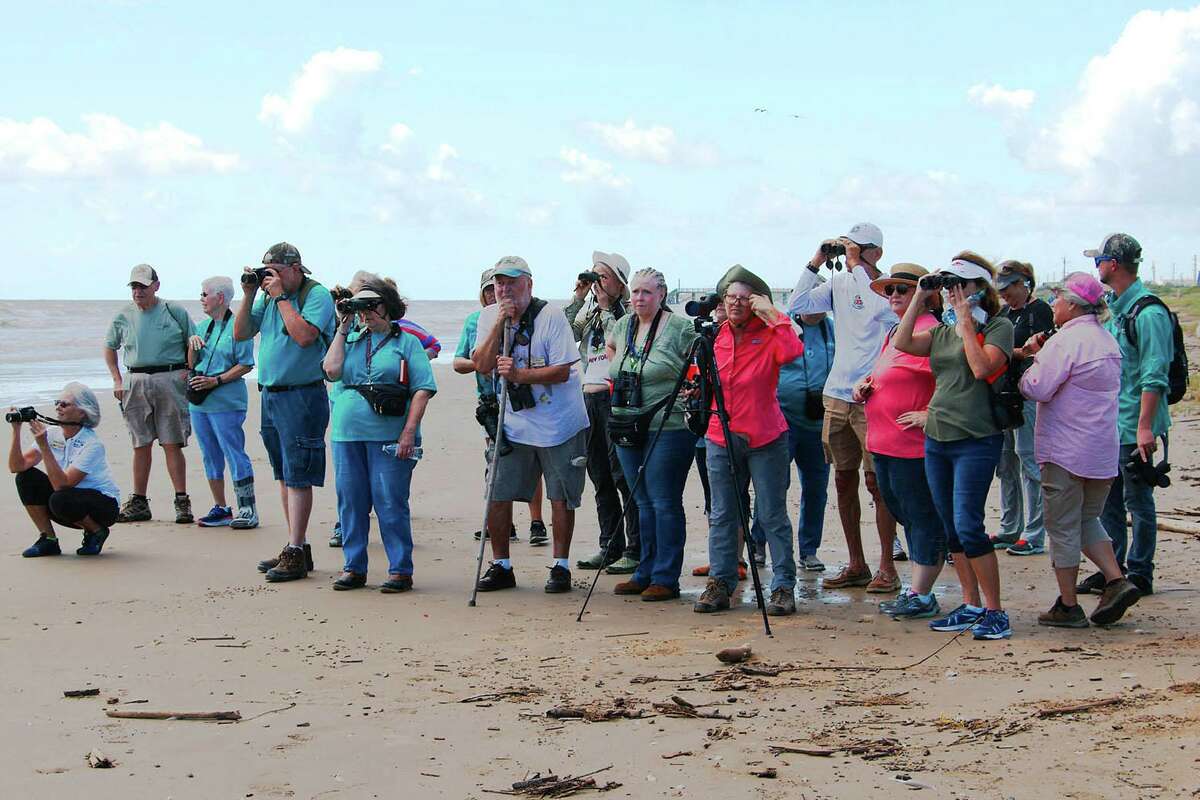 Texas Master Naturalist interns observe wildlife during a 2019 birding field trip at Quintana Beach County Park. A t a Jan. 6 session at the Alvin Library, Texas Master Naturalists will provide information about the program, citizen science projects and intern training during a meet-and-greet.