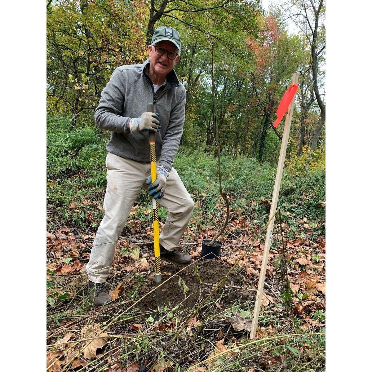 The members of the Wilton Land Conservation Trust, WCLT, and community volunteers recently planted trees, and shrubs, Sunday, Oct. 24, to restore the general habitat. With volunteers from the community, the members planted native trees, and shrubs along the hiking trail on Schenck's Island in Wilton.