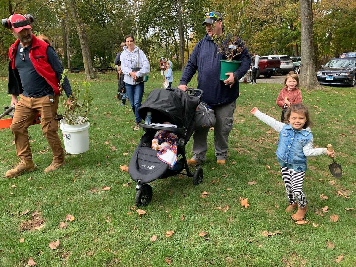 The members of the Wilton Land Conservation Trust, WCLT, and community volunteers recently planted trees, and shrubs, Sunday, Oct. 24, to restore the general habitat. With volunteers from the community, the members planted native trees, and shrubs along the hiking trail on Schenck's Island in Wilton.