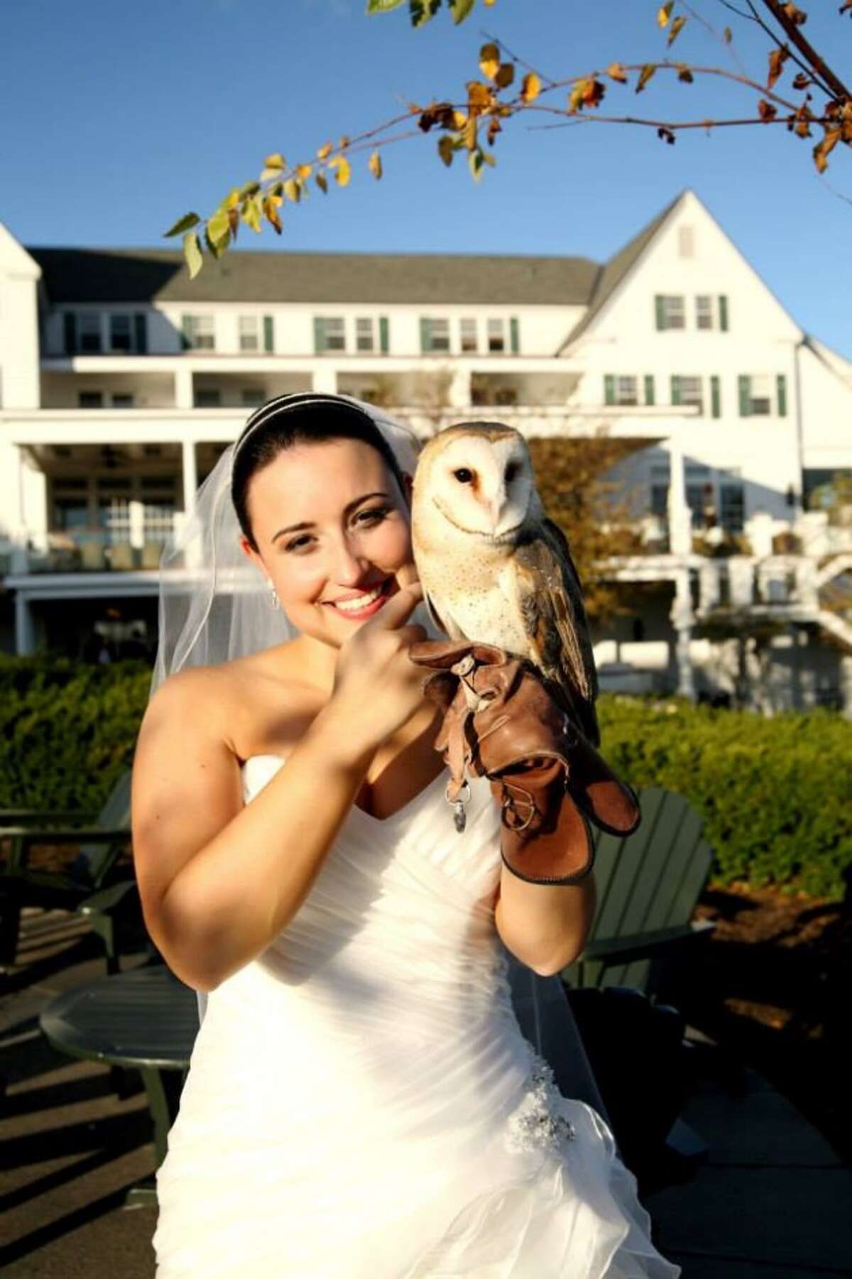 1. My favorite creature on this planet earth is an owl – I even had one fly my wedding rings down the aisle when I got married!  